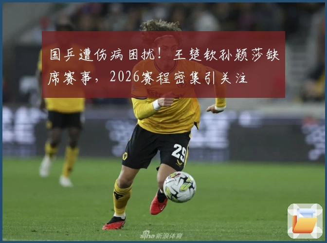 国乒遭伤病困扰！王楚钦孙颖莎缺席赛事，2026赛程密集引关注