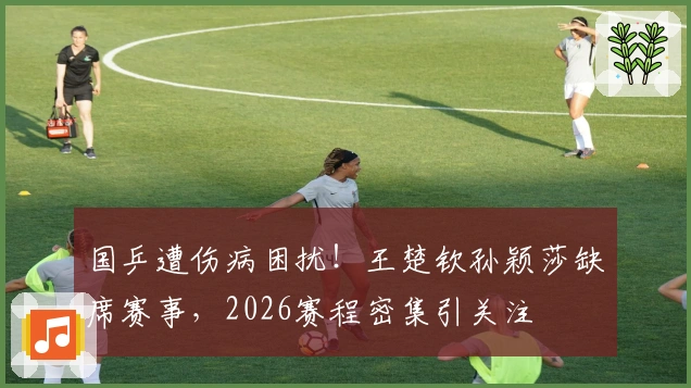国乒遭伤病困扰！王楚钦孙颖莎缺席赛事，2026赛程密集引关注